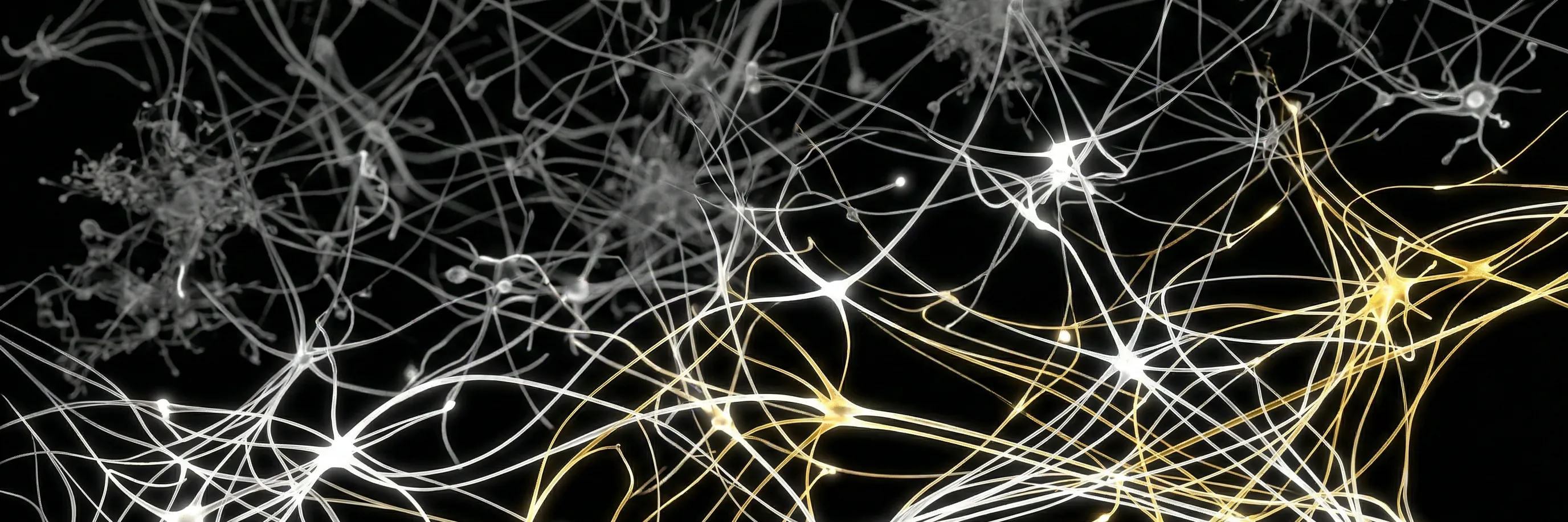 Clinical visualization of brain fog & concentration during smoking withdrawal